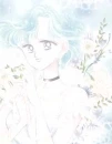 Ami
