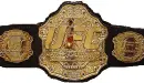 Ultimate Fighting Championship