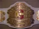 UFC