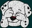 dalmata