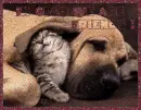 friends