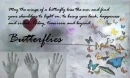 Butterflies