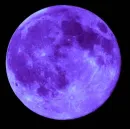 Purple Moon
