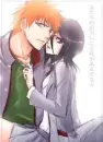 bleach - ichigo&rukia