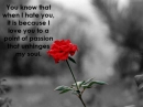 Love Rose