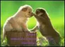 Dogs Touching
