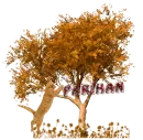 autumn cute cat parihan