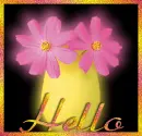 Pink daisy in vase