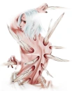 Kimimaro