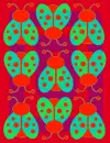 lady bugs