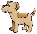 Funny dog