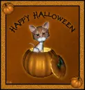 Happy Halloween
