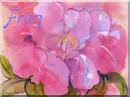 Pink flower