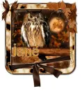 Autumn's Splendor - Jane