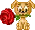 puppy brings you rose