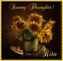 Sunny Thoughts - Rita