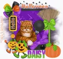 Hello Daisy