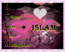 I support love and making peace