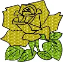 rosa