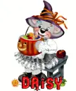 daisy