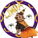 linda halloween cute dog spider glitter