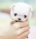 so sweet =)
