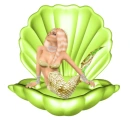 Mermaid in Shell