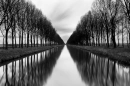 Reflection