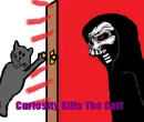 Curiosity kills the cat