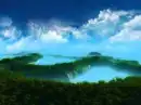 Dak