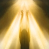 In Gods Light