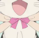 Chi's Sweet Home 9