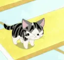 Chi's Sweet Home 10