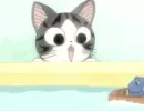 Chi's Sweet Home 12