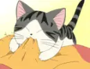 Chi's Sweet Home 13