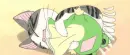 Chi's Sweet Home 14