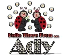 Ladybug-Ady