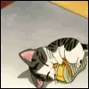 Chi's Sweet Home 16