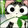 Chi's Sweet Home 20