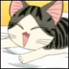 Chi's Sweet Home 23