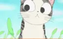 Chi's Sweet Home 24