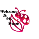 lady bugs