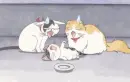 Chi's Sweet Home 26