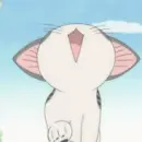 Chi's Sweet Home 32