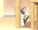 Chi's Sweet Home 34