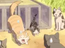 Chi's Sweet Home 36