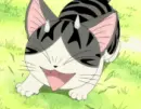 Chi's Sweet Home 37