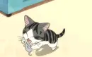 Chi's Sweet Home 40