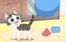 Chi's Sweet Home 41