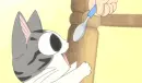 Chi's Sweet Home 43